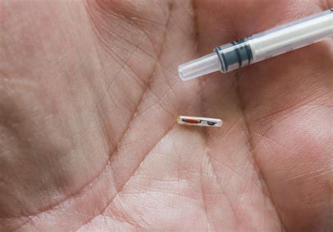 rfid chips in humans|Microchips in humans: consumer.